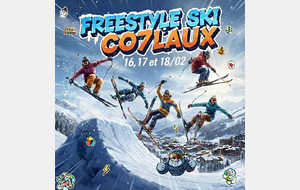 Stage ski Freestyle Groupe 4, 5 et 6